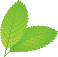 有限会社大滝商店